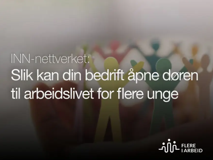 INN_nettverket.png